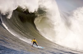 电子竞技下载网址-西亚卡姆迎来五赛季高光表现，阿森纳球迷沸腾！